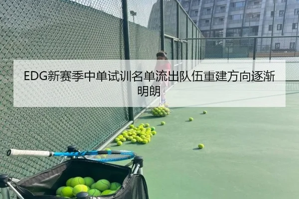 EDG新赛季中单试训名单流出队伍重建方向逐渐明朗